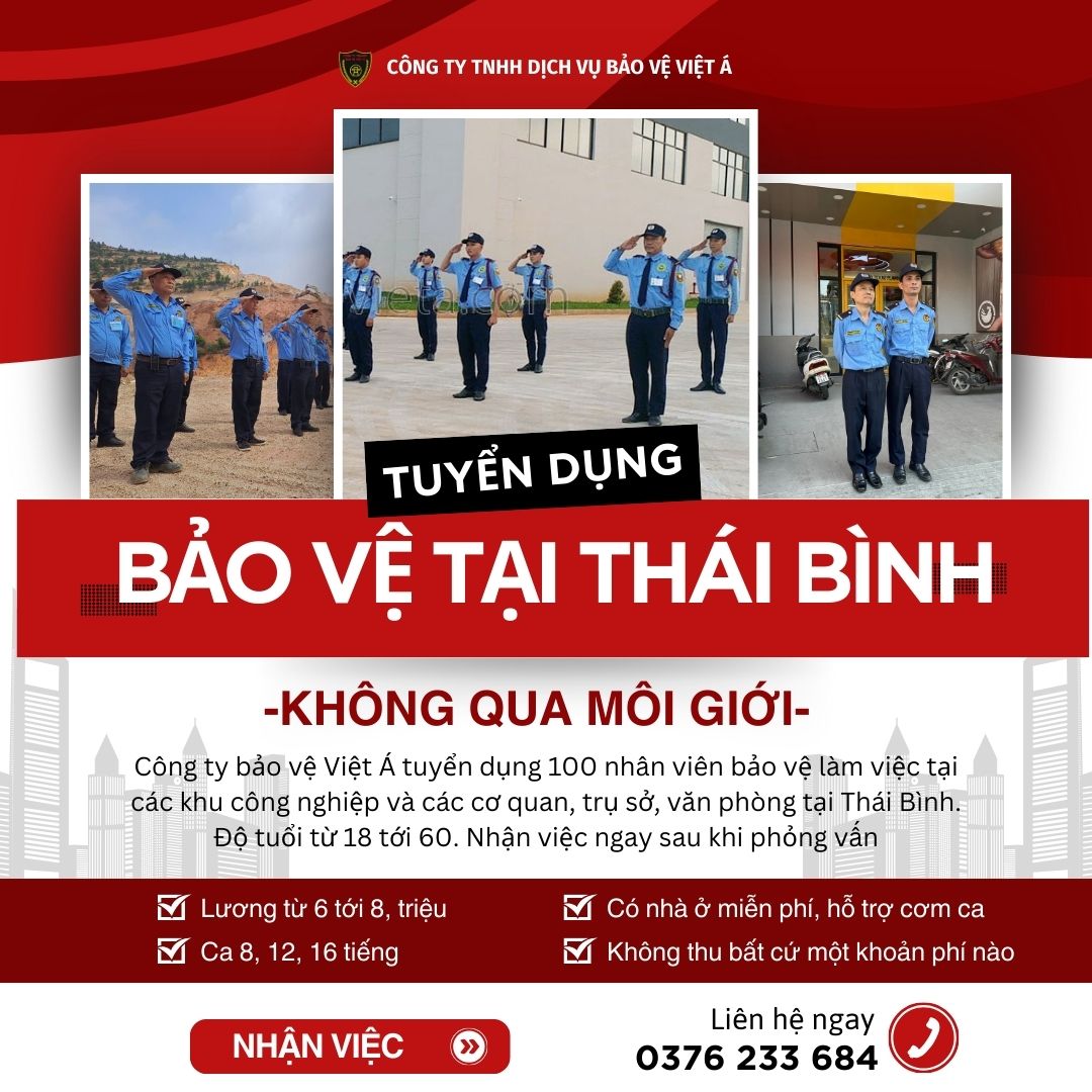bao ve viet a tuyen dung bao ve tai thai binh